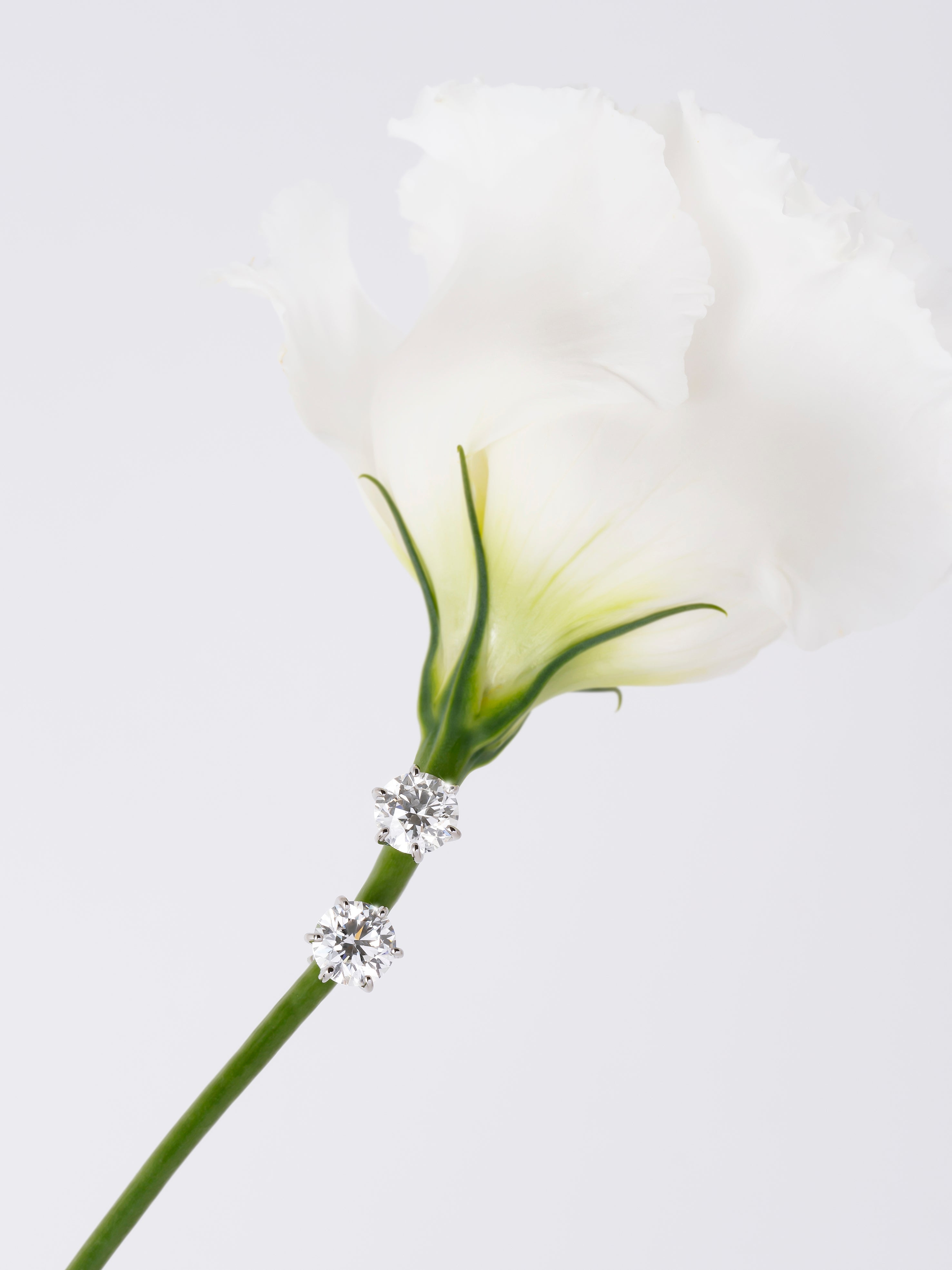 【0.5ct】LAB GROWN DIAMOND / ピアス