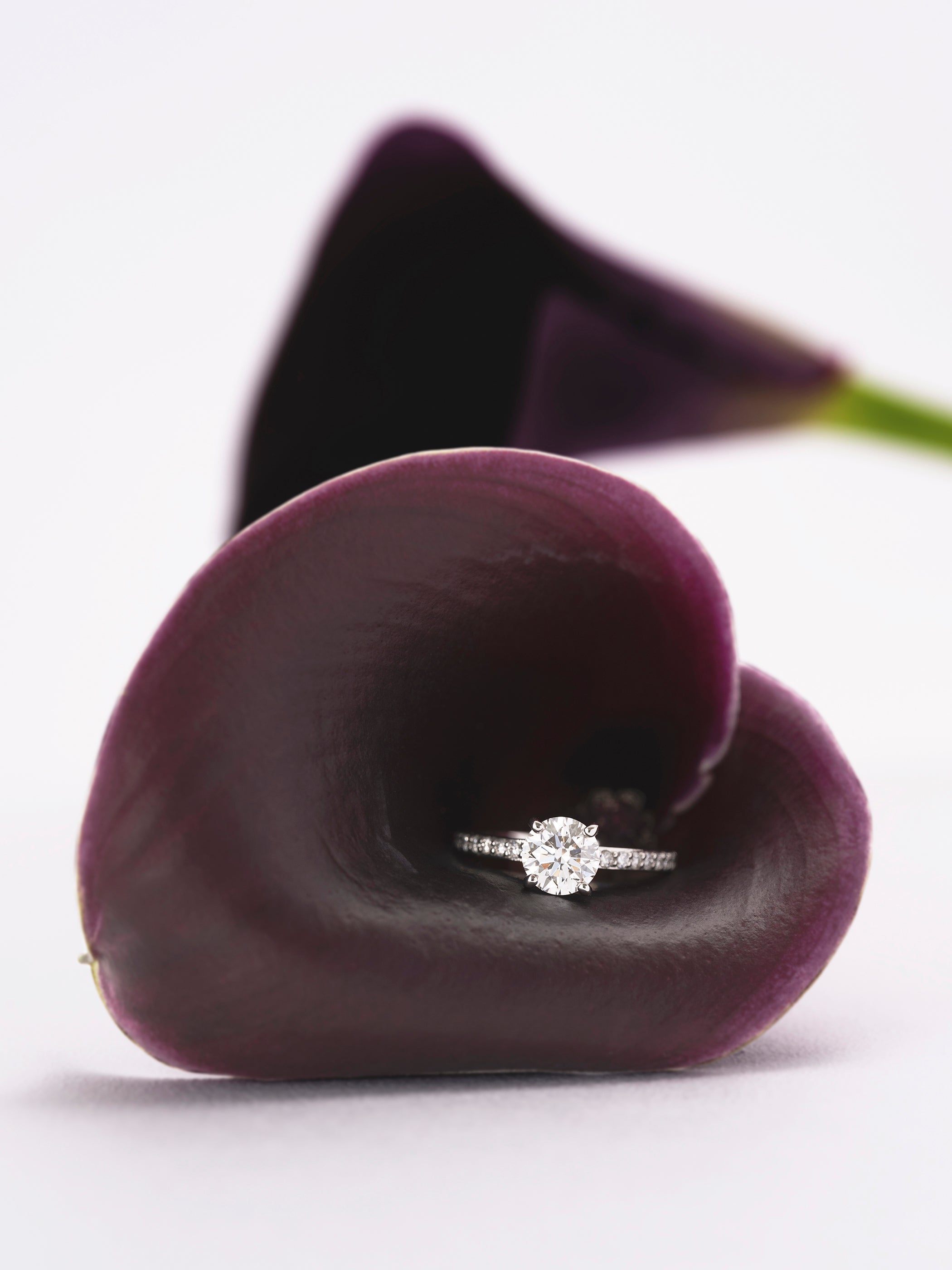 【1.0ct】LAB GROWN DIAMOND HALF ETERNITY / リングRD