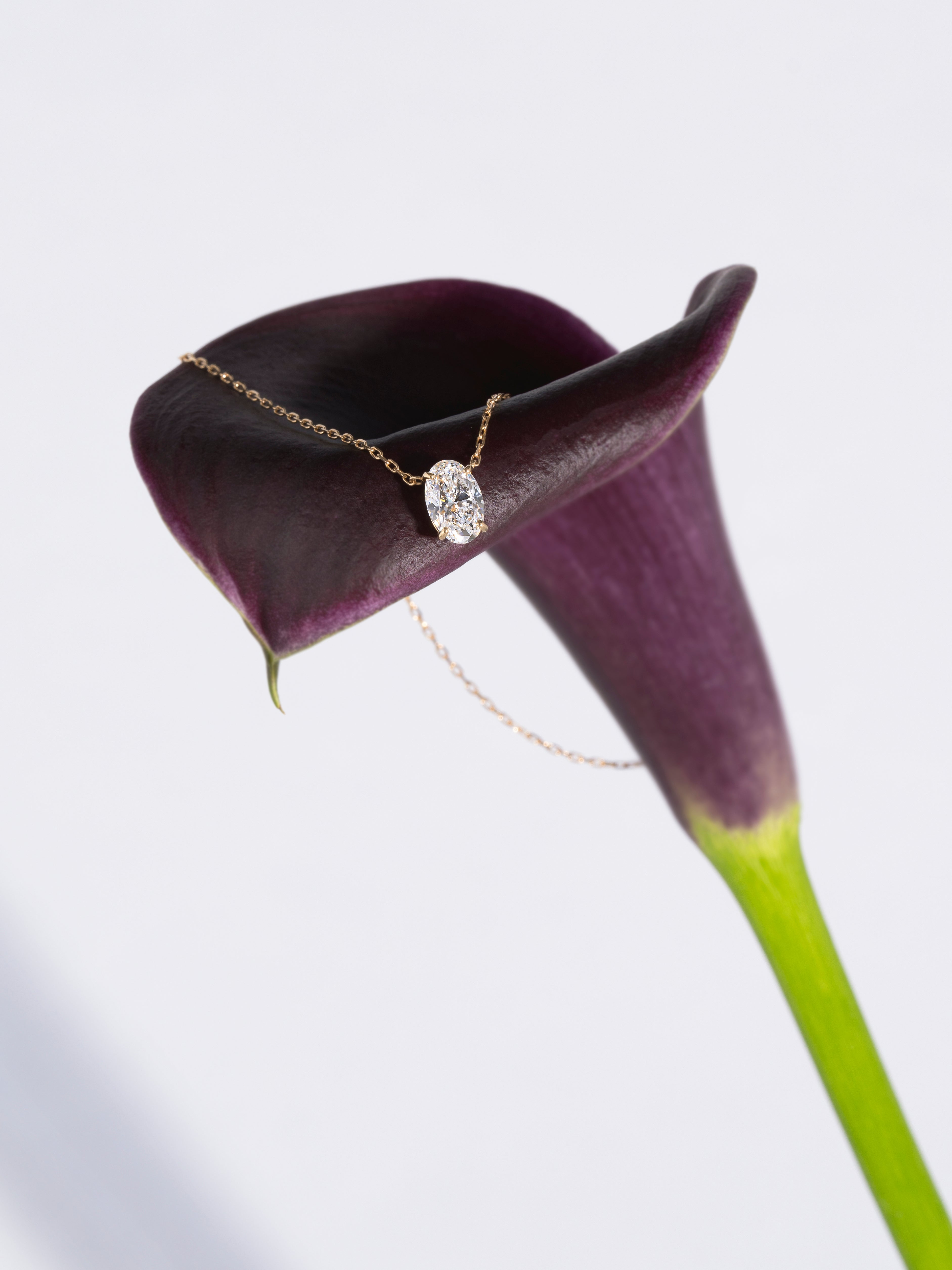 【1.0ct】LAB GROWN DIAMOND / ネックレス OV