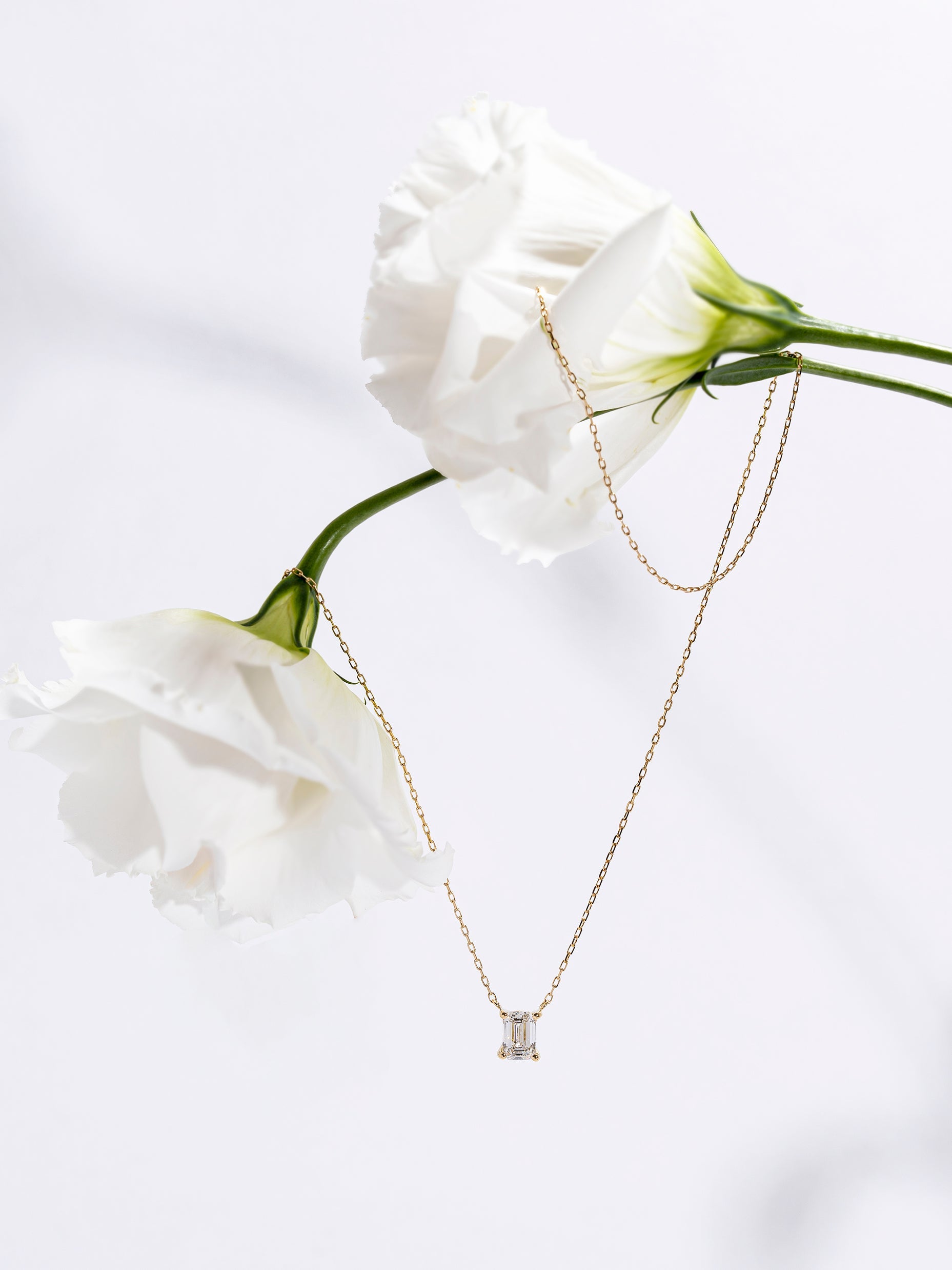 【1.0ct】LAB GROWN DIAMOND / ネックレスEM